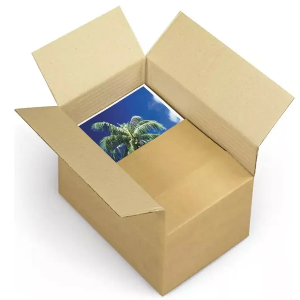 RAJA - Carton d'emballage 25 x 15 x 14 cm - simple cannelure