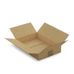 RAJA - Carton d'emballage 31 x 21.5 x 5.5 cm - simple cannelure