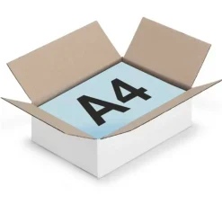 RAJA - Carton d'emballage 31 x 21.5 x 5.5 cm - simple cannelure