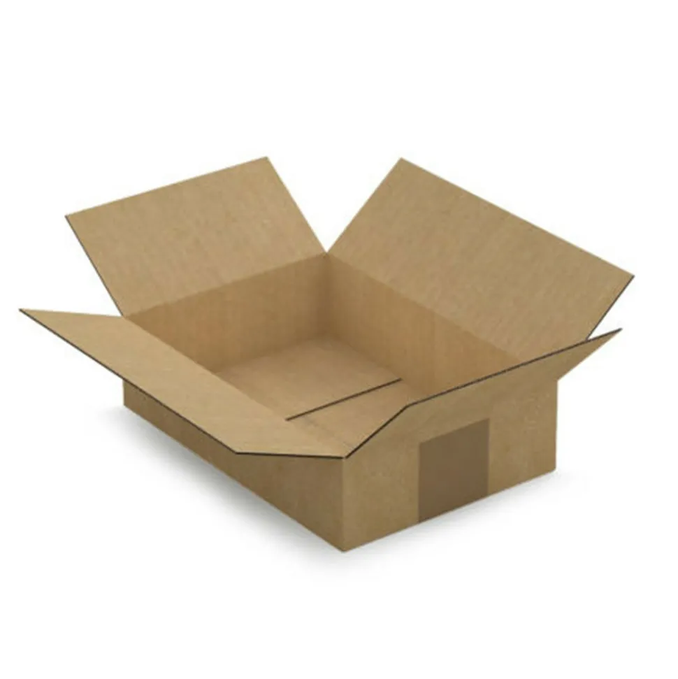 RAJA - Carton d'emballage 21.5 x 15 x 5,5 cm - simple cannelure