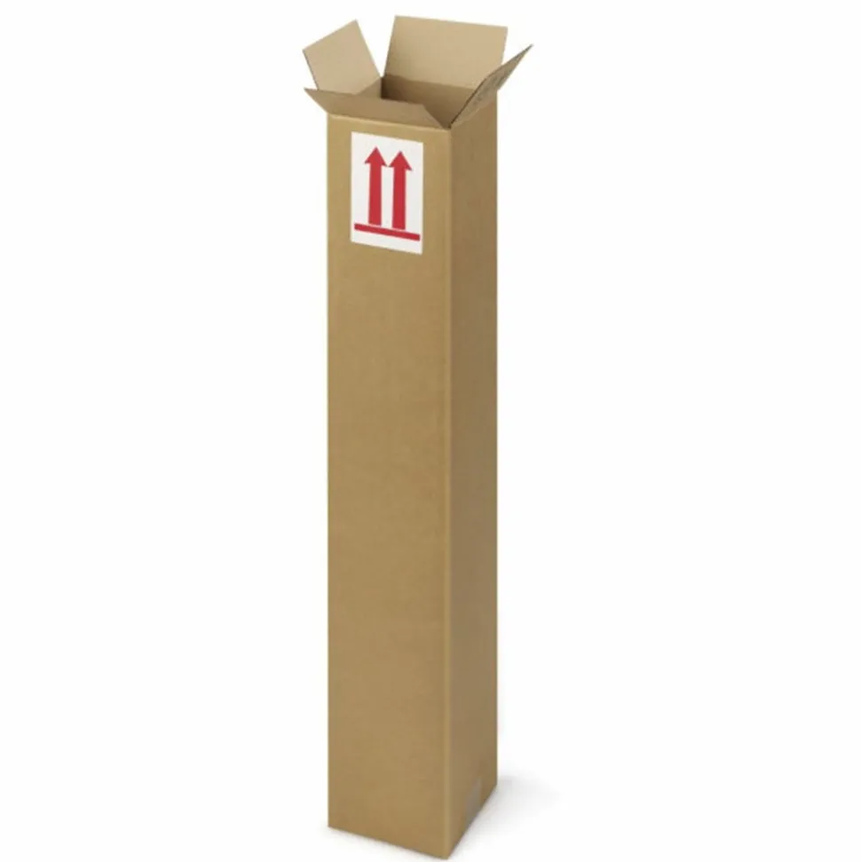 RAJA - Carton d'emballage allongé 50 x 10 x 10 cm - simple cannelure
