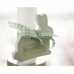 RAYHER - Poudre de moulage blanche raysin 100 - 2 kg