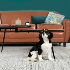 RENDEZ-VOUS DÉCO - Club - canapé 3 places camel en croute de cuir enduite