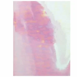 RICO DESIGN - Bullet journal couverture souple acid leo - 16 x 21 cm