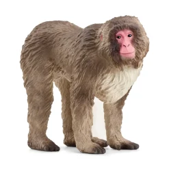 SCHLEICH - Figurine en plastique Macaque japonais L. 6.9 l. 3.1 H. 5.5cm