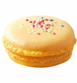 SCRAPCOOKING - 2 douilles pâtisserie inox - macarons