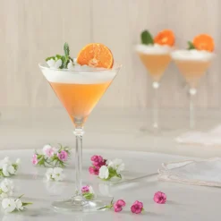 SG SECRET DE GOURMET - 4 verres à cocktail striés 25cl