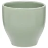 SG SECRET DE GOURMET - Tasse "mae" vert 11cl