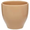 SG SECRET DE GOURMET - Tasse "mae" beige 11cl