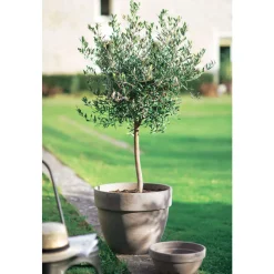 SPANG - Coupe Levy en terre cuite, basalt Ø 30 cm