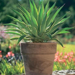 SPANG - Pot Calima en terre cuite, basalt Ø 24 x H. 22 cm