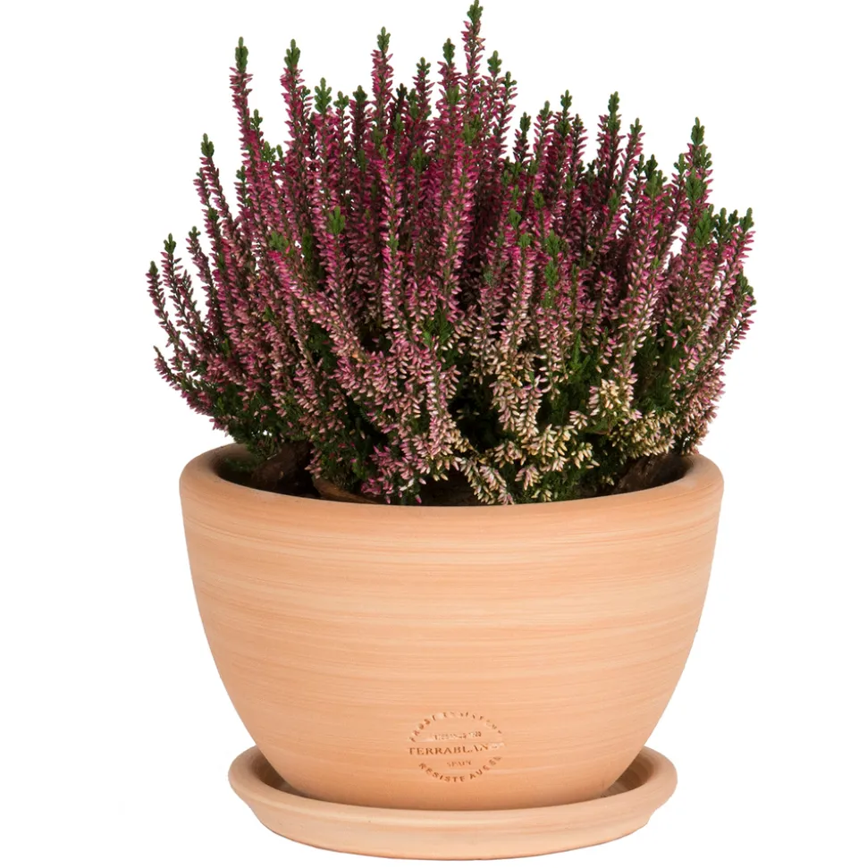 TERRABLANCA - Coupe en terre cuite claire Ø 40 x H. 20 cm