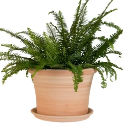 TERRABLANCA - Pot Cocio Liso, en terre cuite claire Ø 40 x H. 29 cm