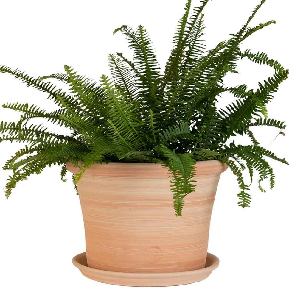 TERRABLANCA - Pot Cocio Liso, en terre cuite claire Ø 40 x H. 29 cm