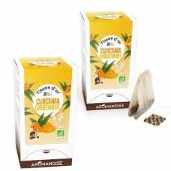 THÉS BIOS DU MONDE - Tisane bio au curcuma et gingembre 36 sachets