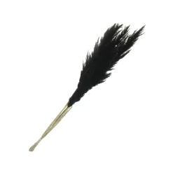 Tige de pampa séchée noire H.115 cm