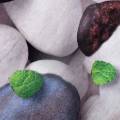 UNAMOURDETAPIS - Tapis de cuisine 80x120 lyn11 galet blanc, facile d'entretien