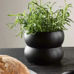 VENTURE HOME - Cache pot dapne 16*16*13cm