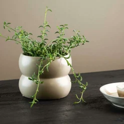 VENTURE HOME - Cache pot dapne 16*16*13cm