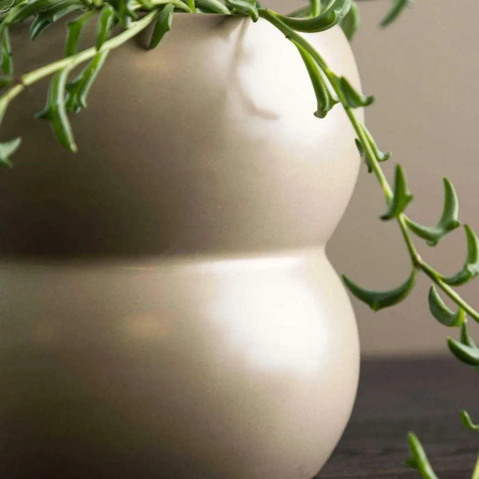 VENTURE HOME - Cache pot dapne 16*16*13cm