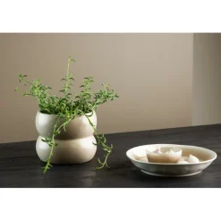 VENTURE HOME - Cache pot dapne 16*16*13cm