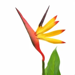 VIDAXL - Plante artificielle strelitzia reginae oiseau de paradis 66 cm