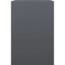 VIDAXL - Portant de bois de chauffage anthracite 100x40x60 cm acier