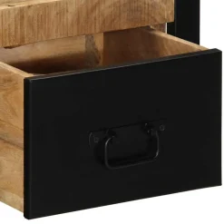 VIDAXL - Tables de chevet 2 pcs 40x35x25 cm bois de manguier massif brut