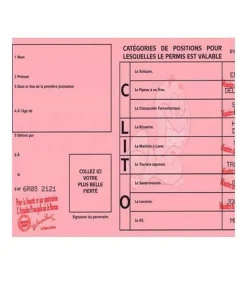 YOUDOIT - Permis de jouir