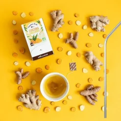 YOUDOIT - Tisane d'or bio curcuma-gingembre 20 sachets + 4 pailles en inox